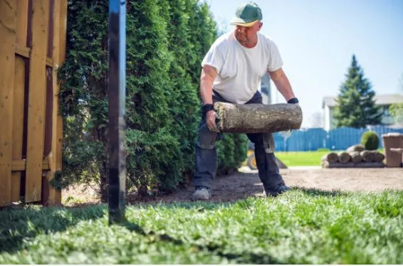 Professional landscape design in Roseville, MI by S & B Seasonal Services