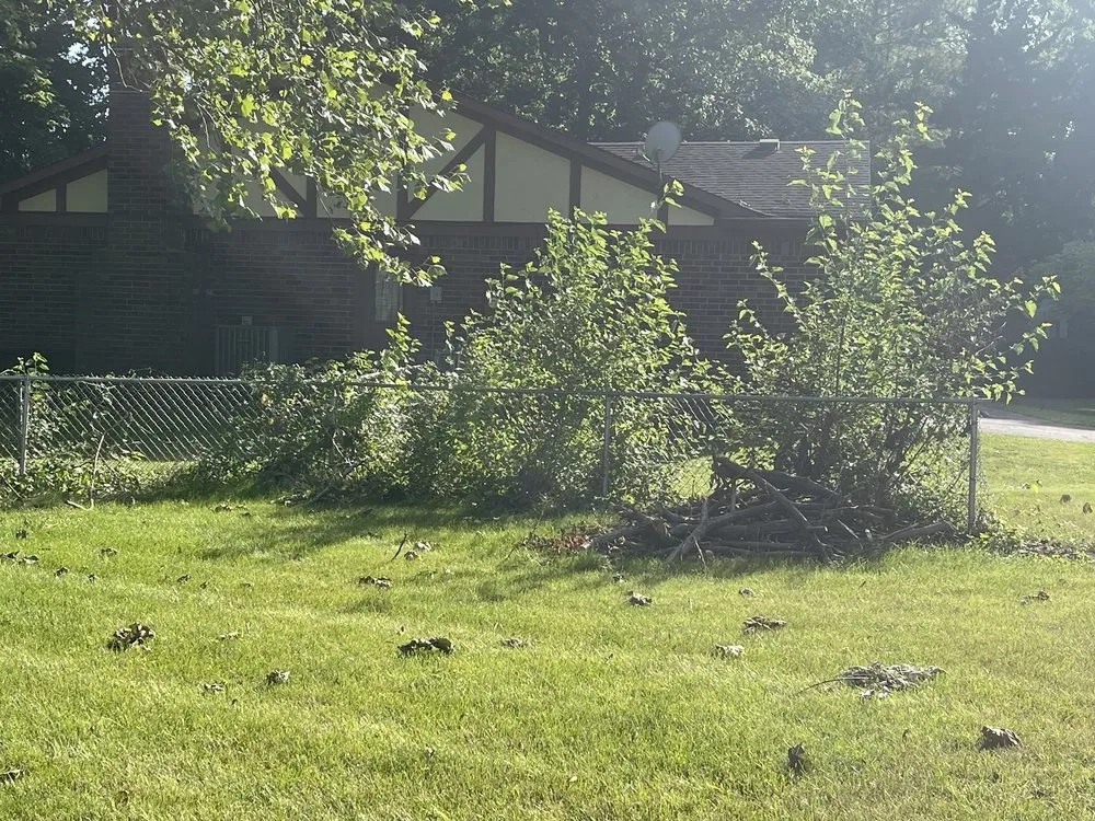 Top-rated landscaping services for homes in Indianapolis, IN by S & B Tree Care