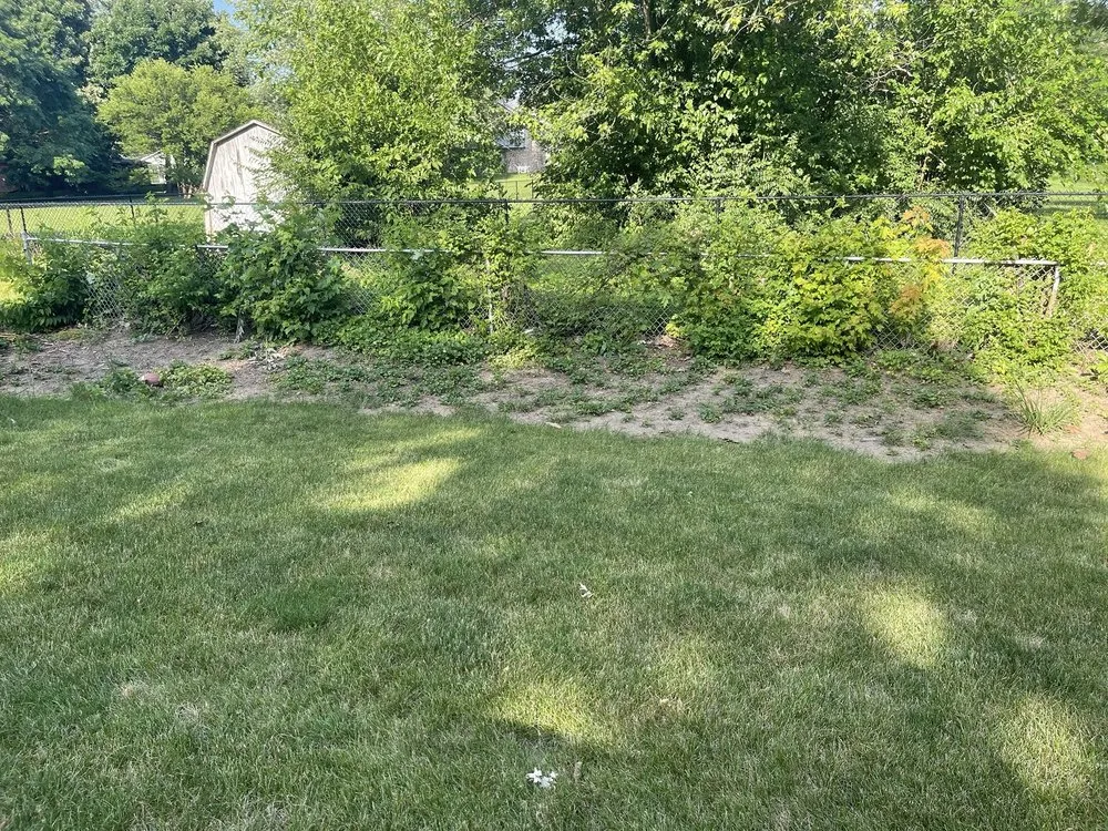 Affordable yard maintenance with custom design across Indianapolis, IN - S & B Tree Care