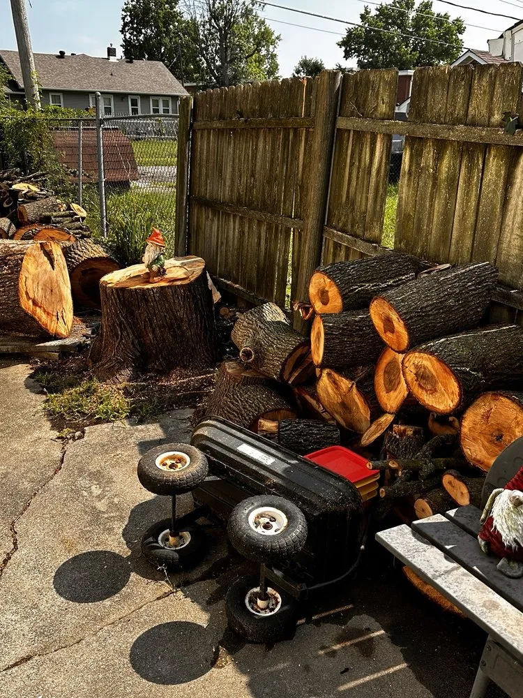 Professional landscape design for year-round maintenance across Indianapolis, IN - S & B Tree Care