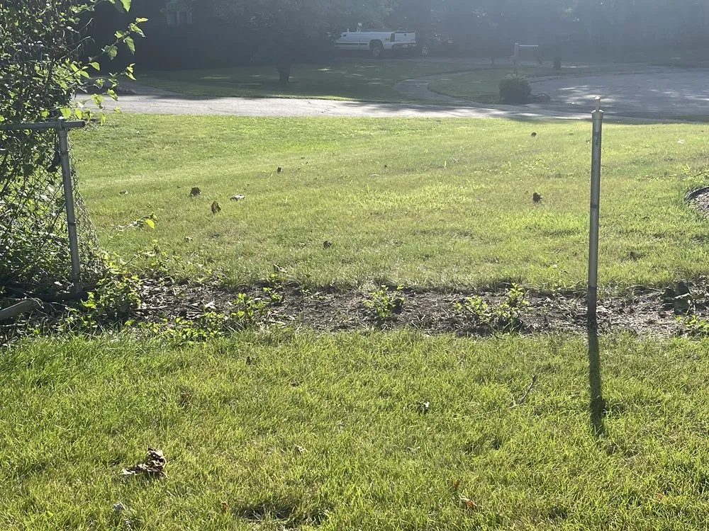 Professional yard maintenance for outdoor upgrades across Indianapolis, IN - S & B Tree Care