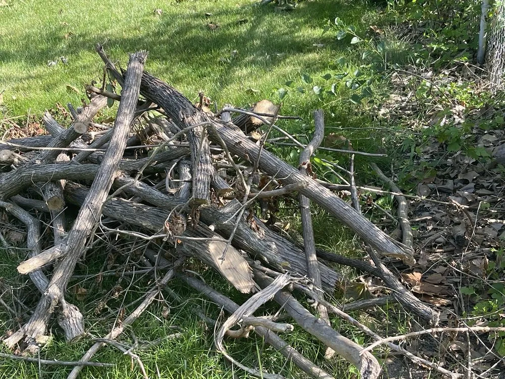 Custom landscape installation for outdoor upgrades in Indianapolis, IN by S & B Tree Care