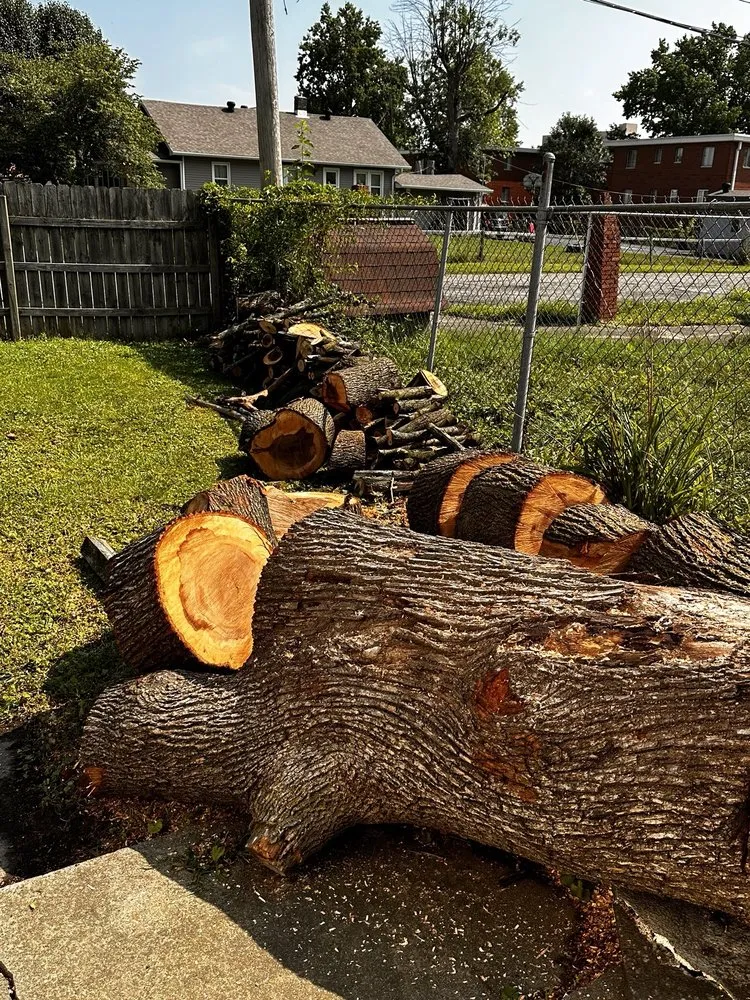 Affordable yard maintenance for homes across Indianapolis, IN - S & B Tree Care