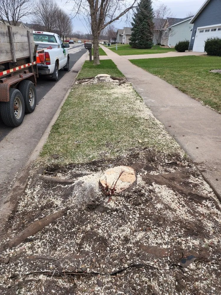 Affordable residential landscaping for outdoor upgrades in La Crosse, WI by S & B's Lawn & Snow