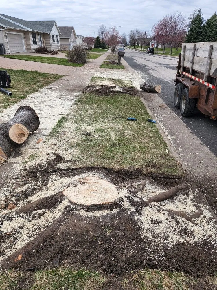 Affordable lawn care service for homes in La Crosse, WI by S & B's Lawn & Snow