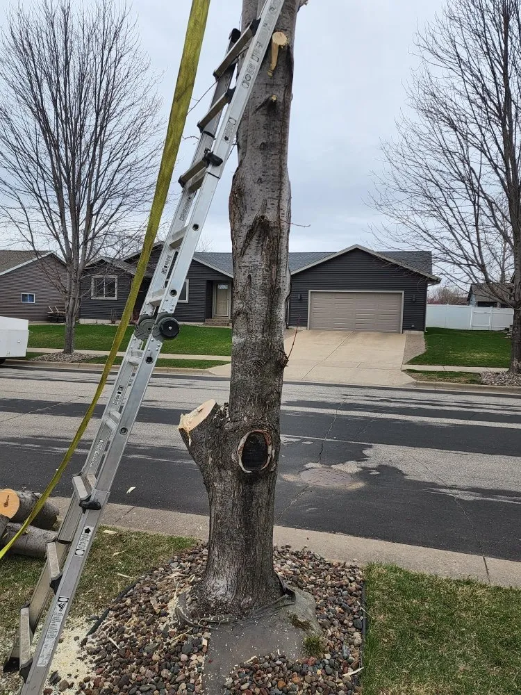 Expert residential landscaping in La Crosse, WI by S & B's Lawn & Snow