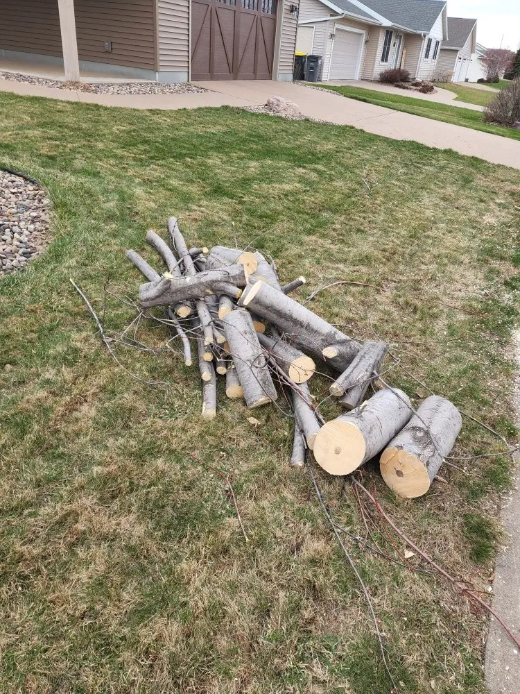 Custom landscaping services for year-round maintenance across La Crosse, WI - S & B's Lawn & Snow