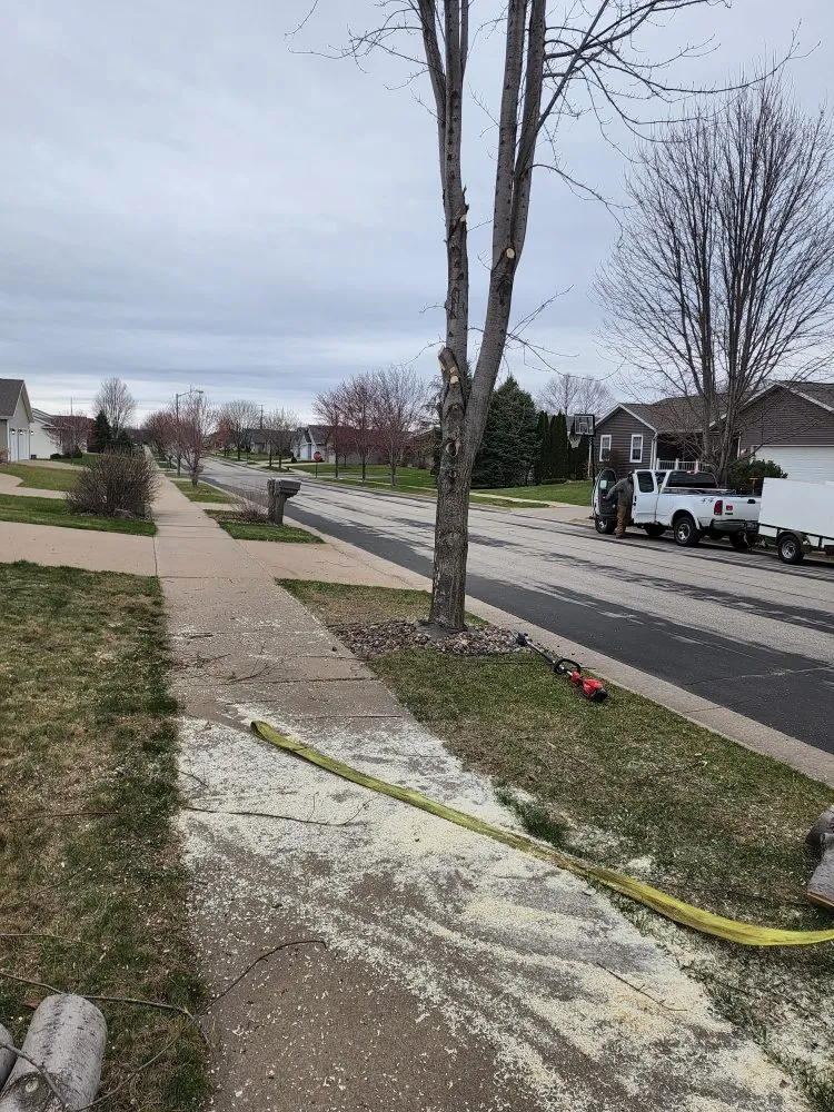 Custom lawn care service near you across La Crosse, WI - S & B's Lawn & Snow