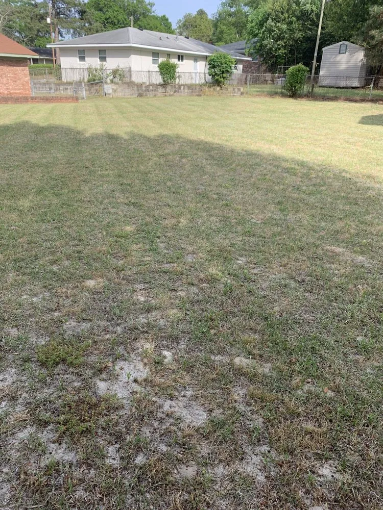 Local outdoor landscaping experts serving North Augusta, SC - S & C Landscaping