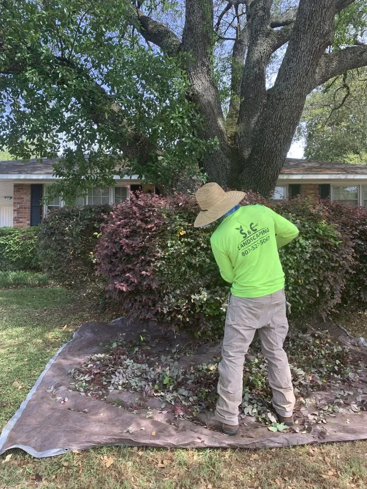 Affordable residential landscaping for beautiful yards in North Augusta, SC by S & C Landscaping