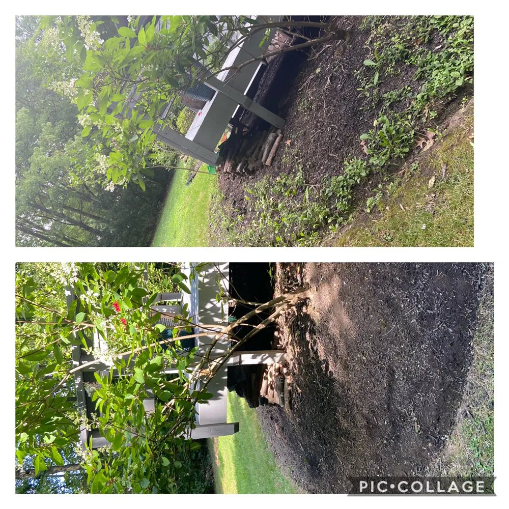 Affordable yard cleanup service experts serving Canfield, OH - S & C Lawn