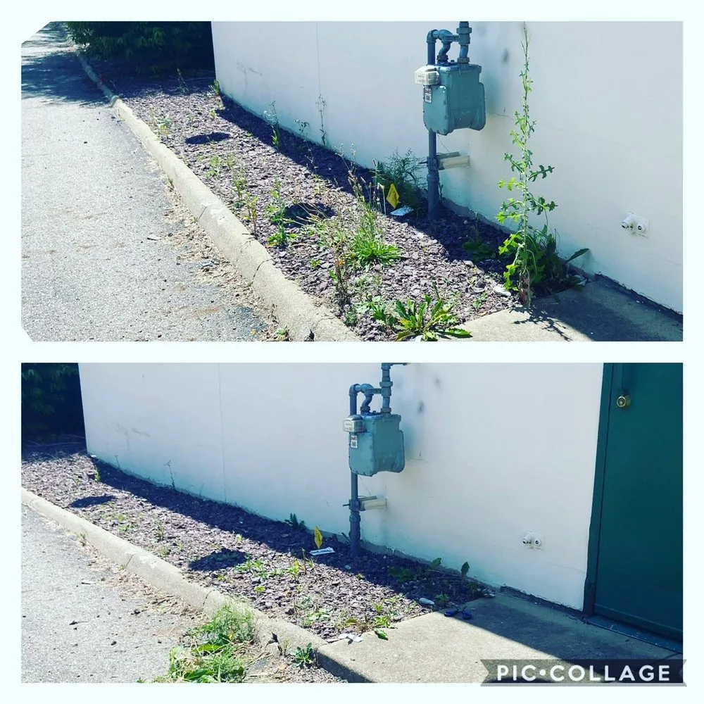 Local lawn care service for outdoor upgrades across Canfield, OH - S & C Lawn