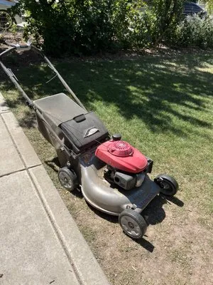 S & D Lawn Care Solutions Logo