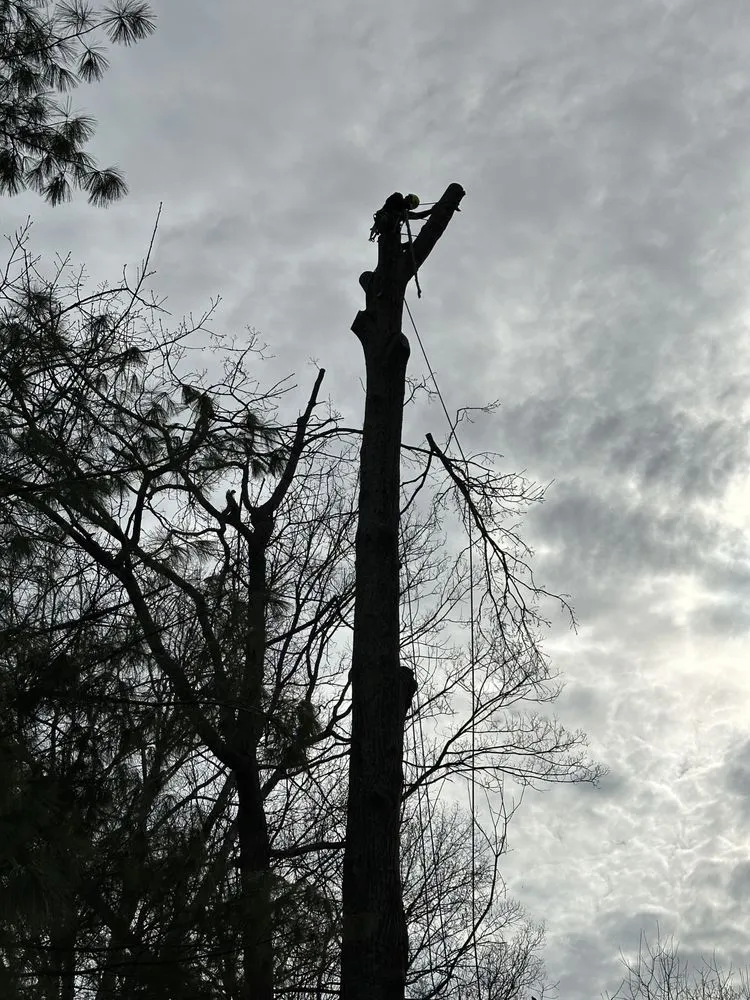 Reliable garden landscaping experts serving Culpeper, VA - S & D Tree Service and Remodeling