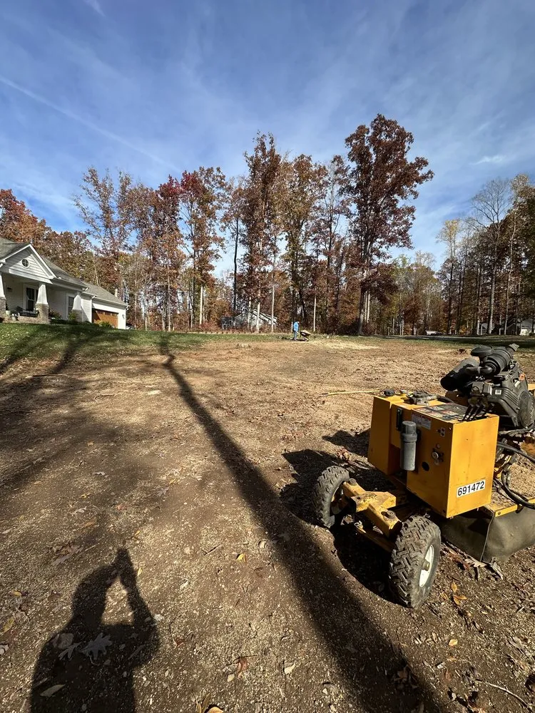 Expert yard maintenance in Culpeper, VA by S & D Tree Service and Remodeling
