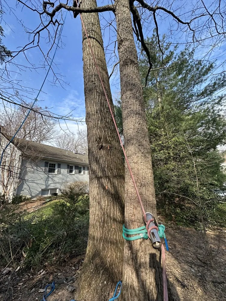 Top-rated outdoor landscaping for beautiful yards across Culpeper, VA - S & D Tree Service and Remodeling