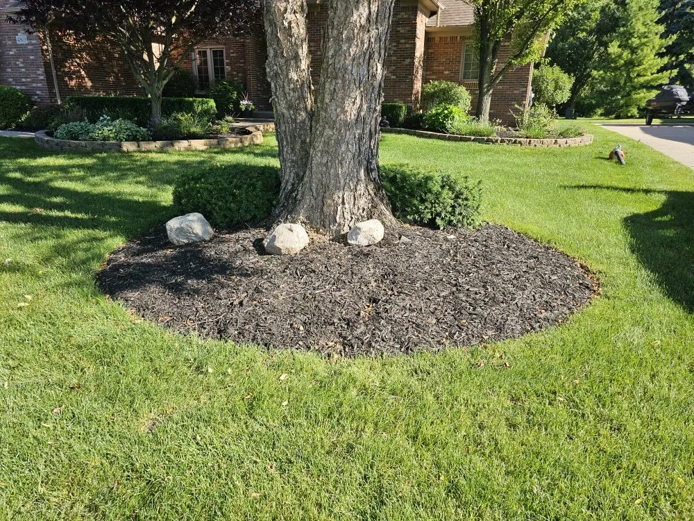 Local yard cleanup service for year-round maintenance in Washington, MI by S & E Hardscape and Landscaping Services