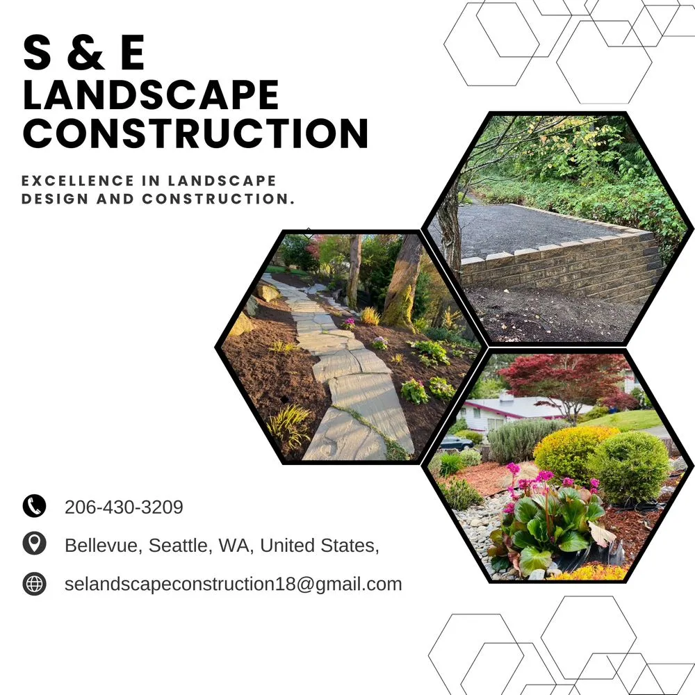Expert yard cleanup service near you in Seattle, WA by S & E Landscape Construction
