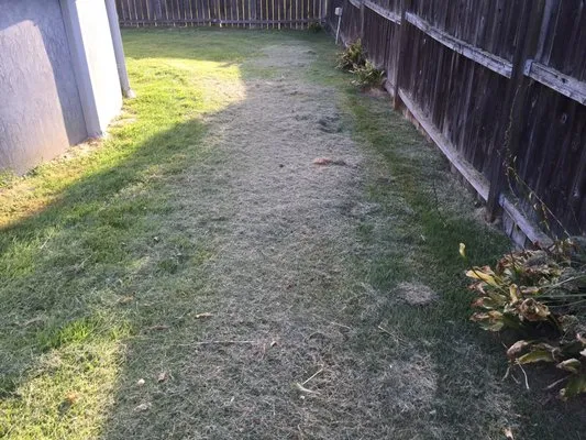 S & E Landscaping Logo