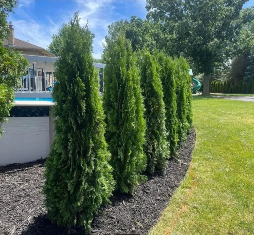 Professional landscaping services in Hanover Park, IL - S & F Landscaping Services