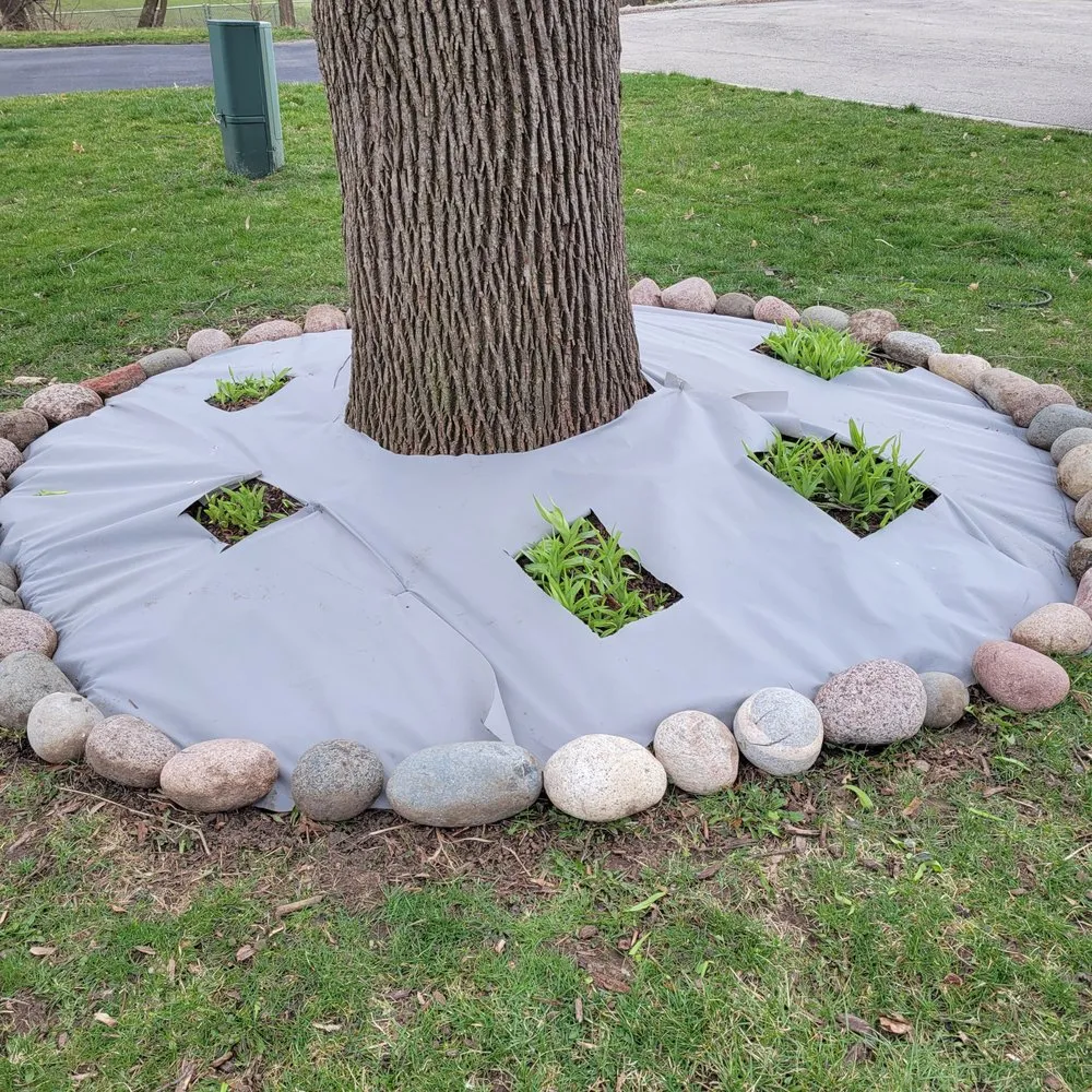 Affordable landscape design for residential properties in Hanover Park, IL by S & F Landscaping Services