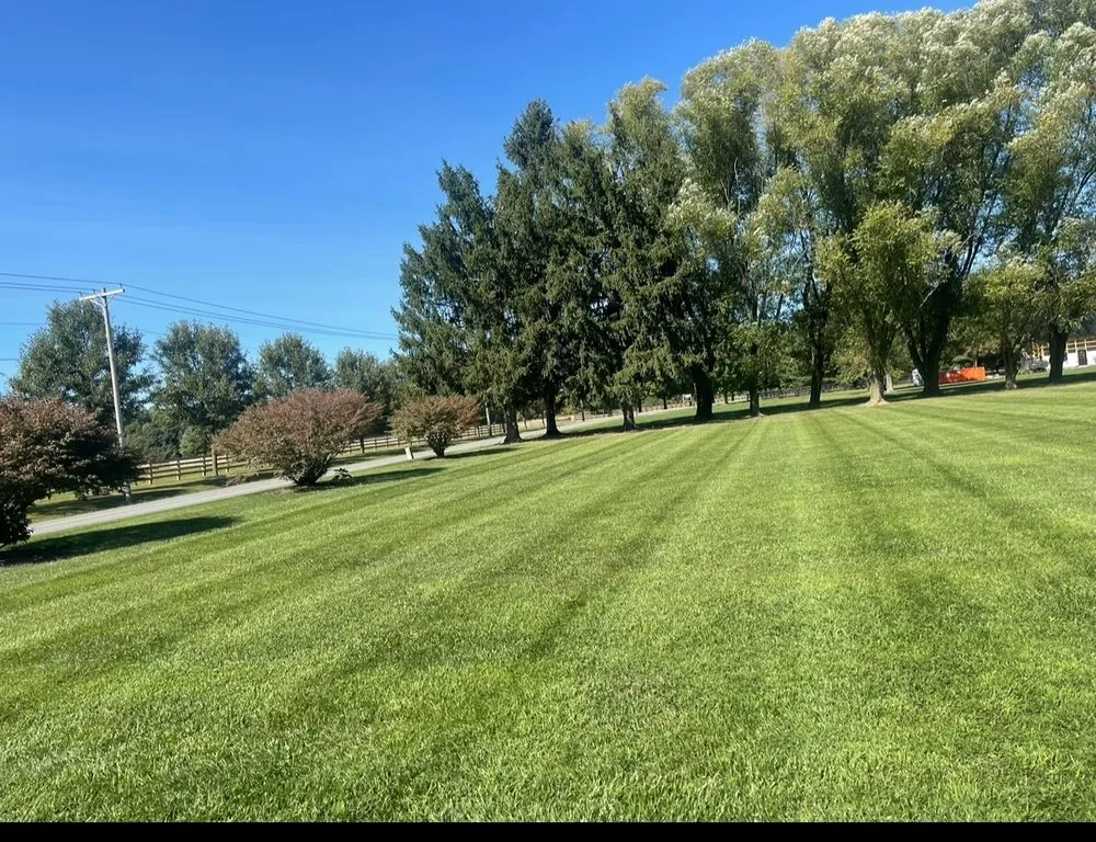 Reliable yard maintenance for beautiful yards across Middletown, MD - S & G Lawn Care