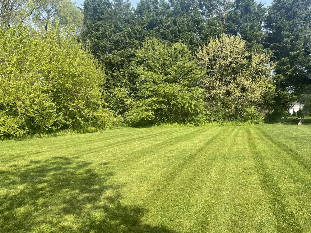 Expert residential landscaping in Middletown, MD - S & G Lawn Care