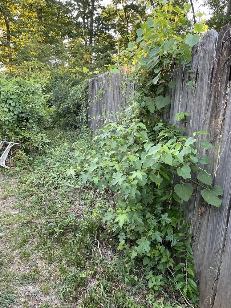 Top-rated outdoor landscaping for outdoor upgrades in Ashville, AL by S & H Landscaping and Construction