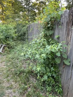 S & H Landscaping and Construction