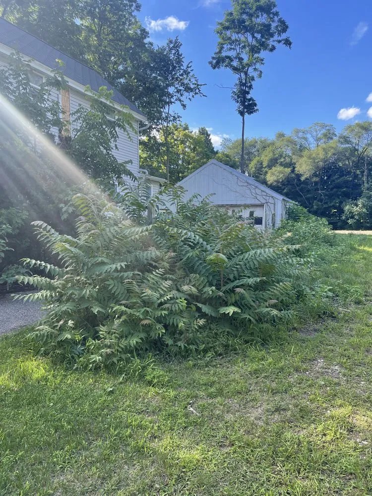 Reliable landscape installation for homes across Plainwell, MI - S & H Lawn Care Property Management