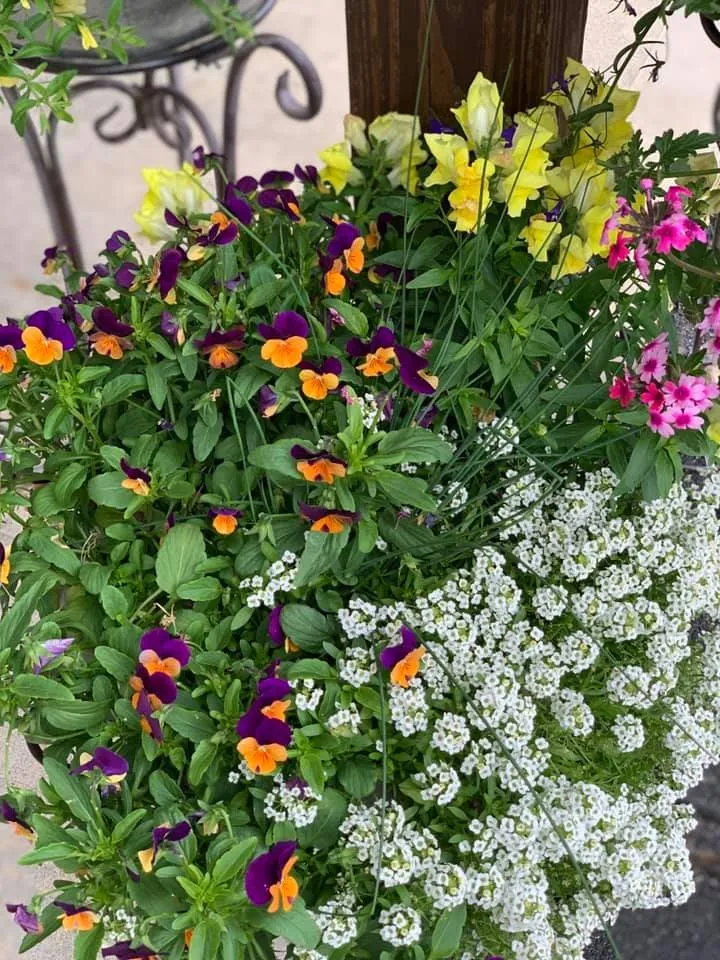 Local landscape installation in Roscoe, IL - S & H Nursery