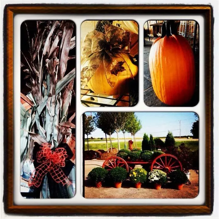 Professional yard cleanup service for residential properties in Roscoe, IL by S & H Nursery