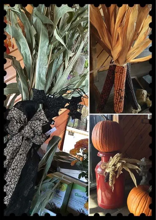 Reliable outdoor landscaping experts serving Roscoe, IL - S & H Nursery