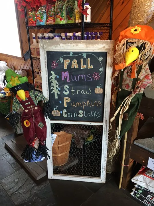 Reliable yard maintenance experts serving Roscoe, IL - S & H Nursery