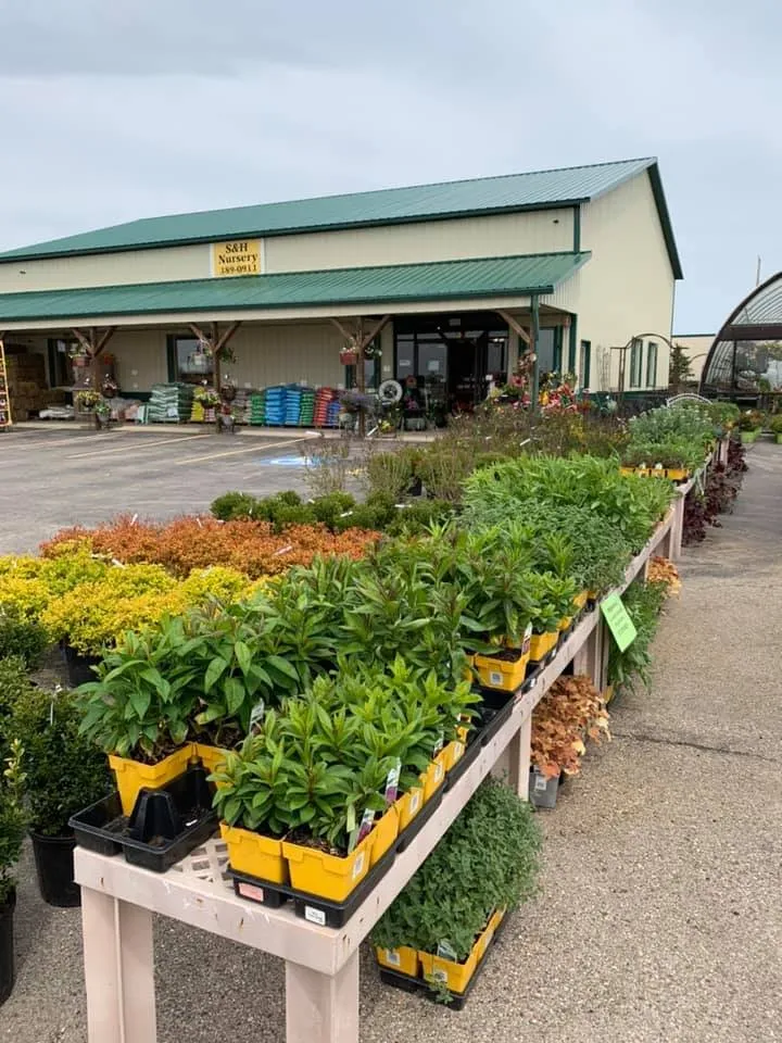 Affordable outdoor landscaping in Roscoe, IL by S & H Nursery