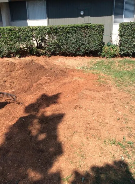 Custom outdoor landscaping in Riverside, CA by S & H Tree & Arborist Service