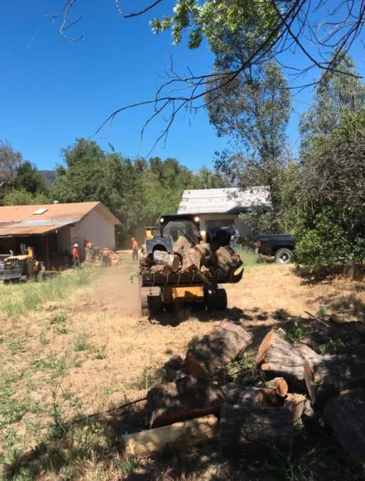 Trusted garden landscaping in Riverside, CA - S & H Tree & Arborist Service