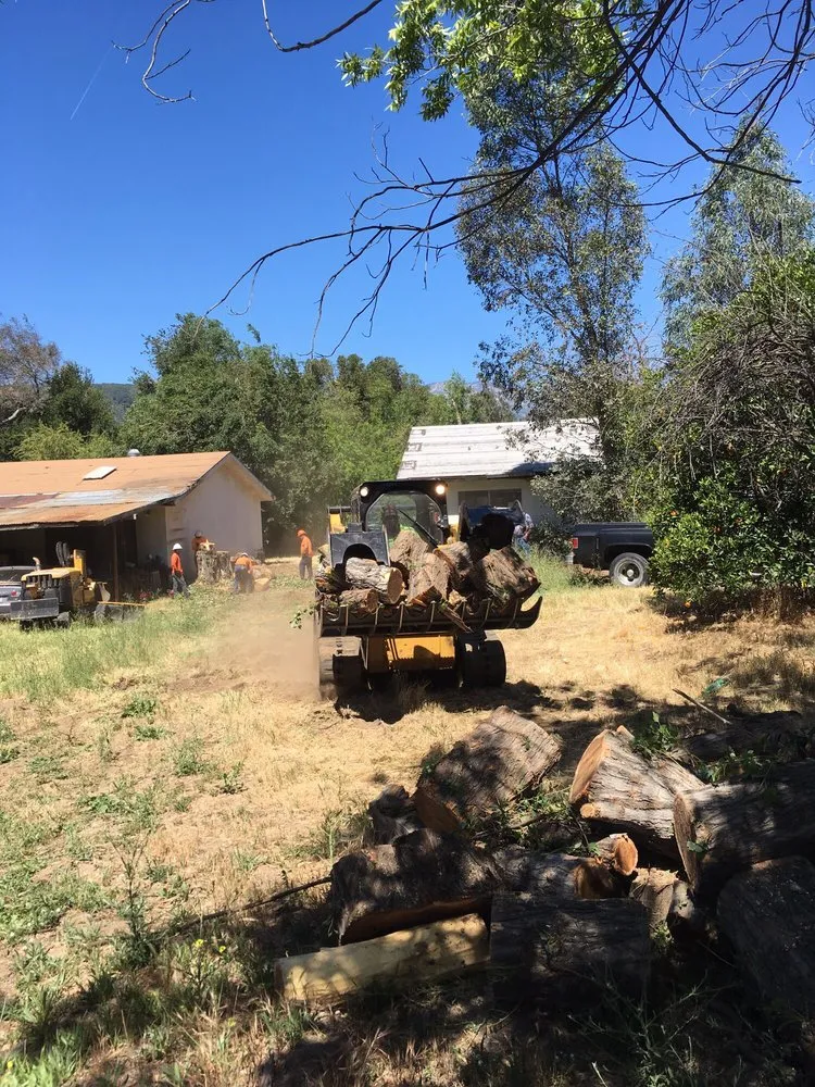 Local landscape design with custom design in Riverside, CA by S & H Tree & Arborist Service