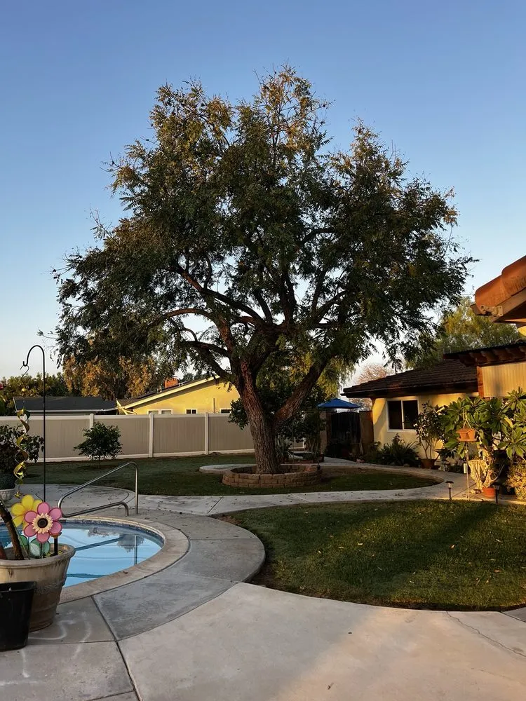 Local landscape installation experts serving Riverside, CA - S & H Tree & Arborist Service