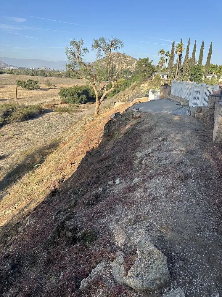 Reliable landscape design in Riverside, CA by S & H Tree & Arborist Service