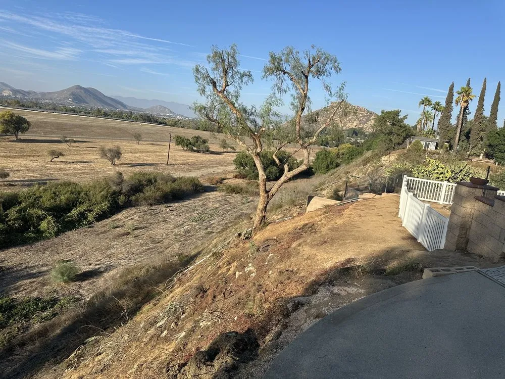 Custom residential landscaping experts serving Riverside, CA - S & H Tree & Arborist Service