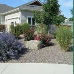 Local landscaping services experts serving Riverside, CA - S & H Tree & Arborist Service