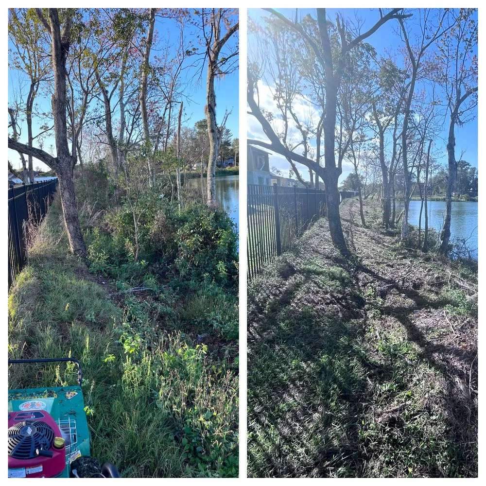 Local landscape installation in Clermont, FL by S & I Land Services