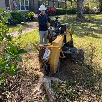 Reliable landscape design experts serving Shreveport, LA - S & J Land Services