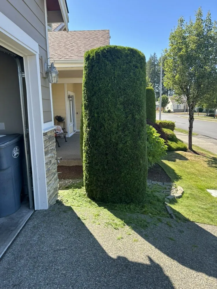 Affordable outdoor landscaping in Spanaway, WA by S & J Landscaping & Construction