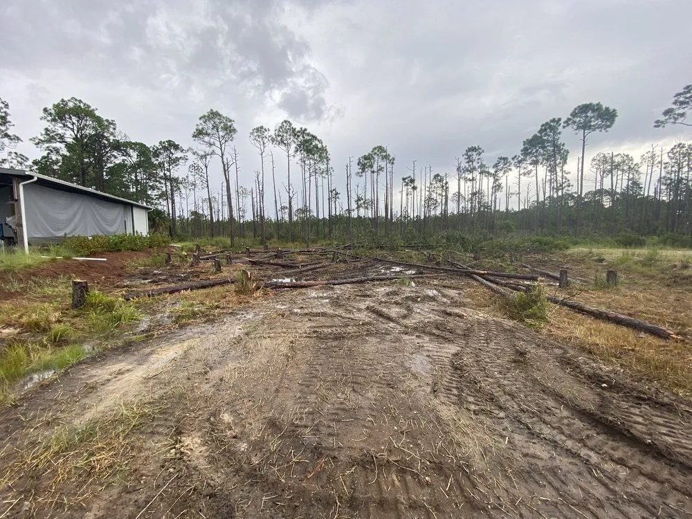 Reliable yard cleanup service in Port St. Joe, FL - S & J Roll Off and Tractor Services