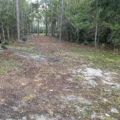 Expert lawn mowing service in Port St. Joe, FL by S & J Roll Off and Tractor Services