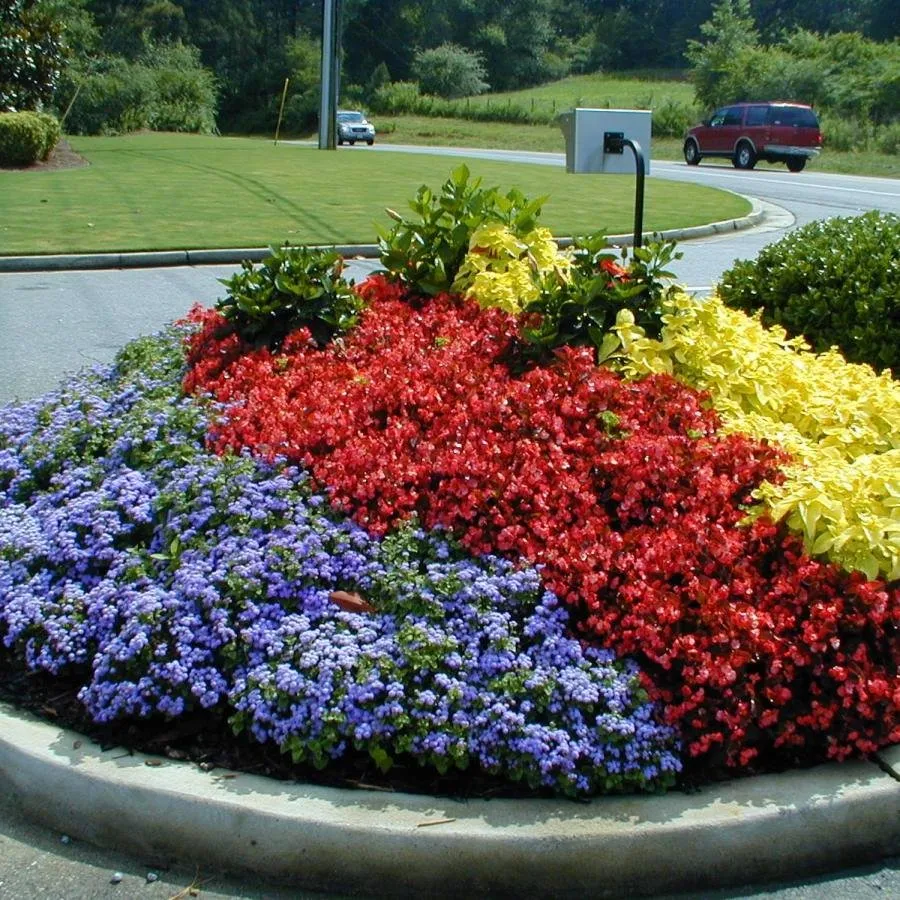 Expert yard maintenance for year-round maintenance across Cumming, GA - S & J Scapes