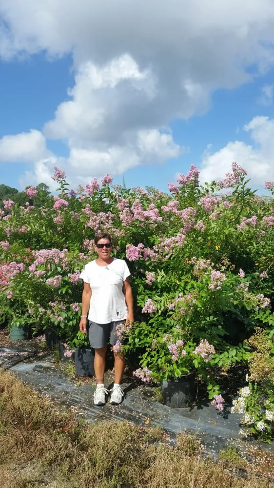 Top-rated yard maintenance for year-round maintenance in Saint Augustine, FL by S & J Tree Farm and Nursery Inc.