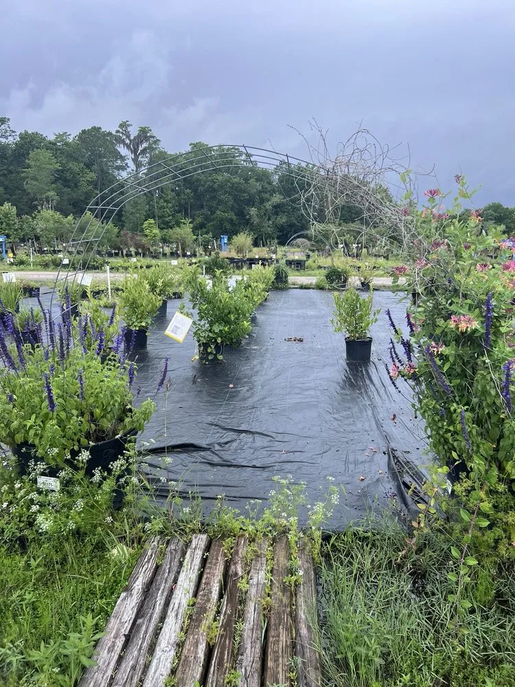 Top-rated yard maintenance for beautiful yards in Saint Augustine, FL by S & J Tree Farm and Nursery Inc.